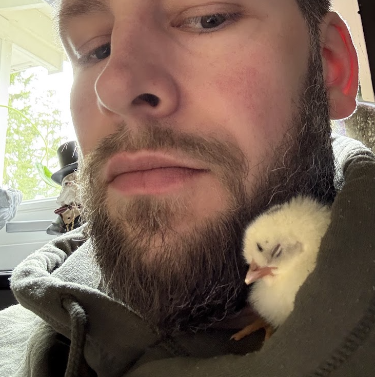 En liten kyckling som gosar mot en person